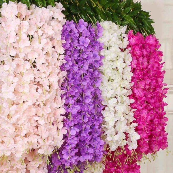 Fleurs pendantes de glycine