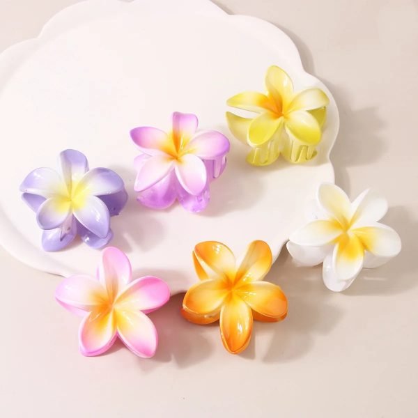 Pinces à Cheveux Dégradé de Fleurs