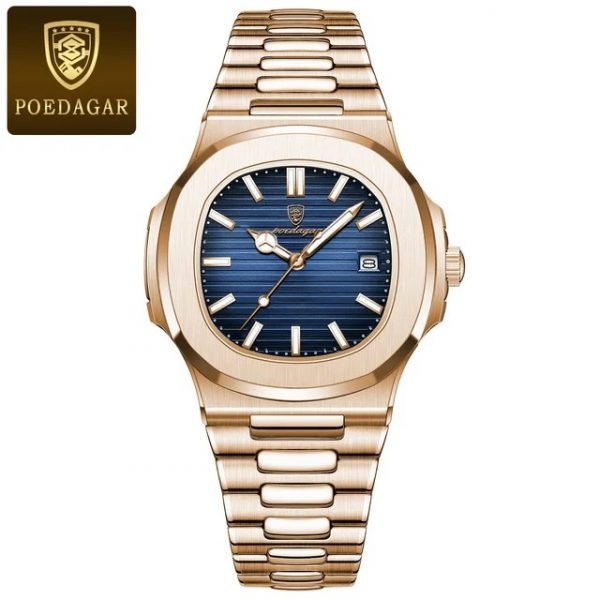 POEDAGAR - Montre de Luxe Homme