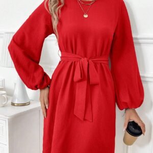 SHEIN Clasi Robe élégante avec manches bouffantes