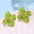 Fruit vert