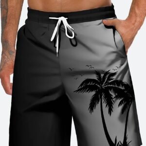Shorts bain hommes coco dégradé