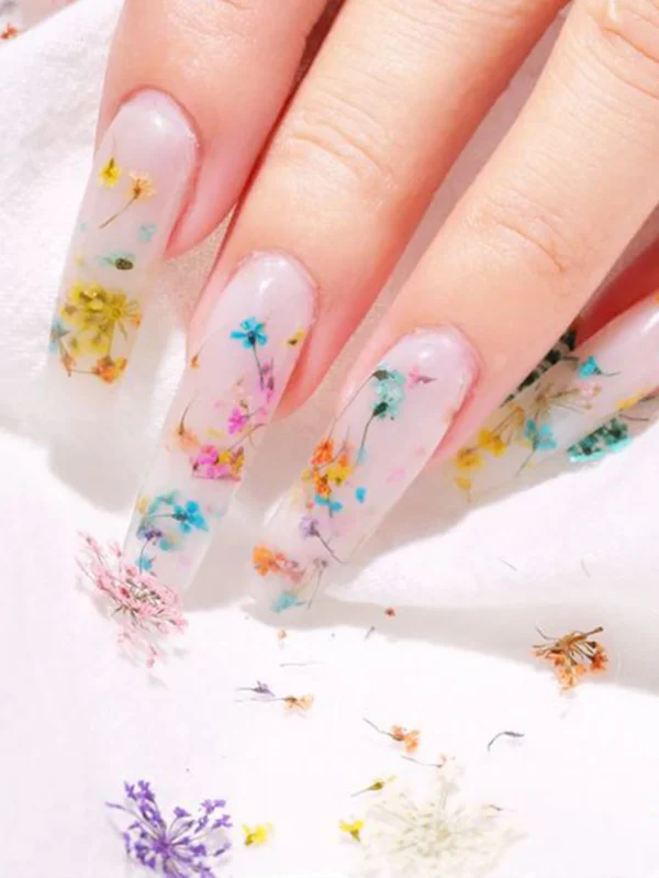 24 pcs fleurs séchées – Image 5