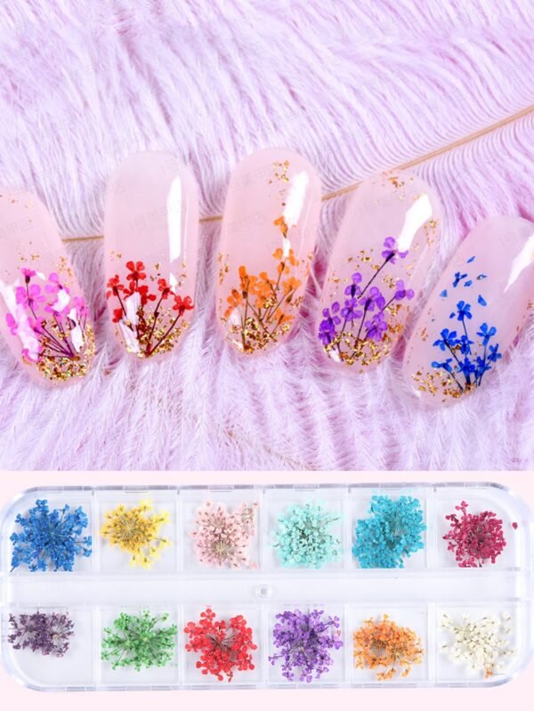 24 pcs fleurs séchées