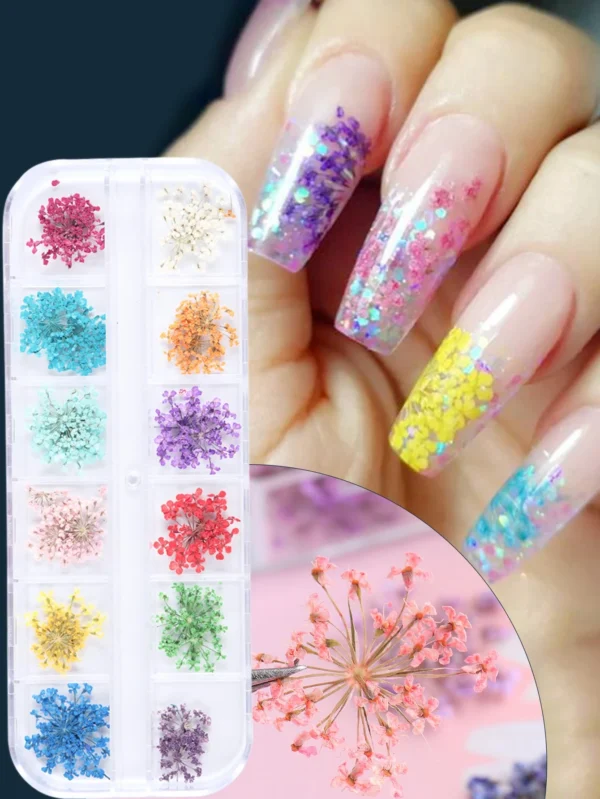 24 pcs fleurs séchées – Image 6