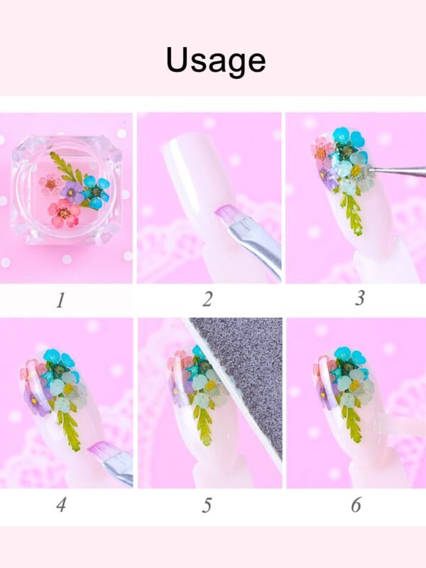 24 pcs fleurs séchées – Image 7