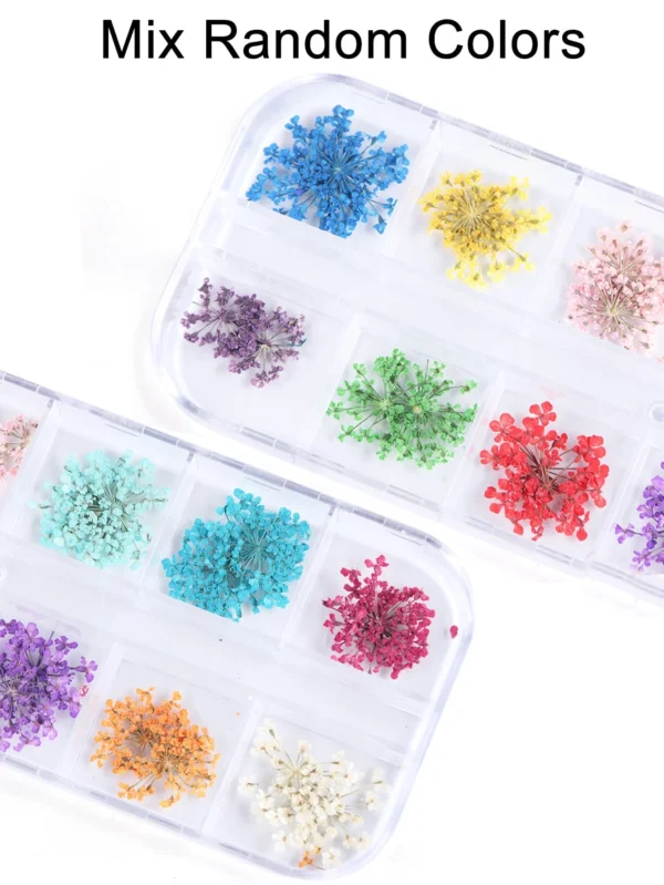 24 pcs fleurs séchées – Image 3