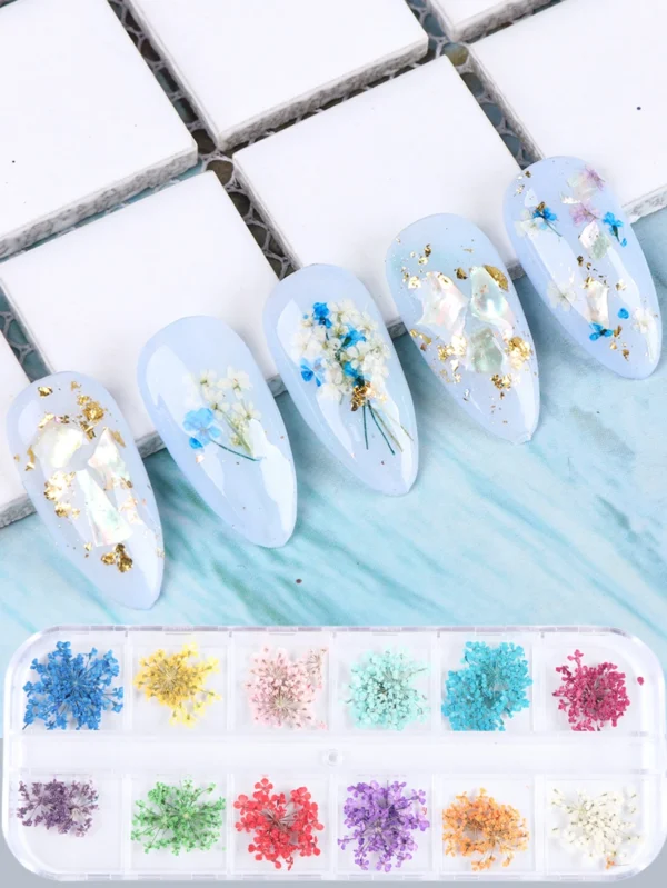 24 pcs fleurs séchées – Image 2