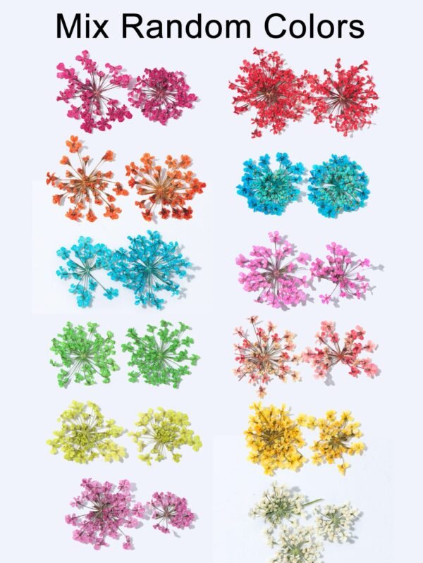 24 pcs fleurs séchées – Image 4