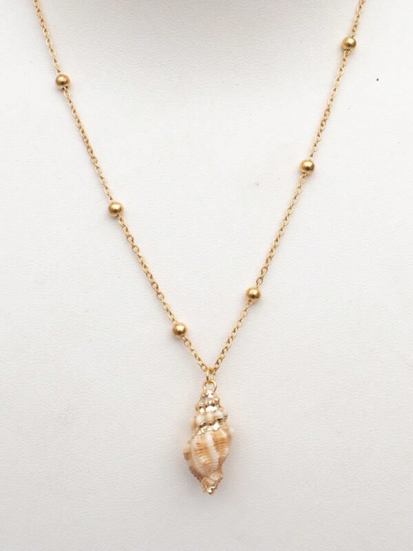1 Coquillage Style Plage – Image 14