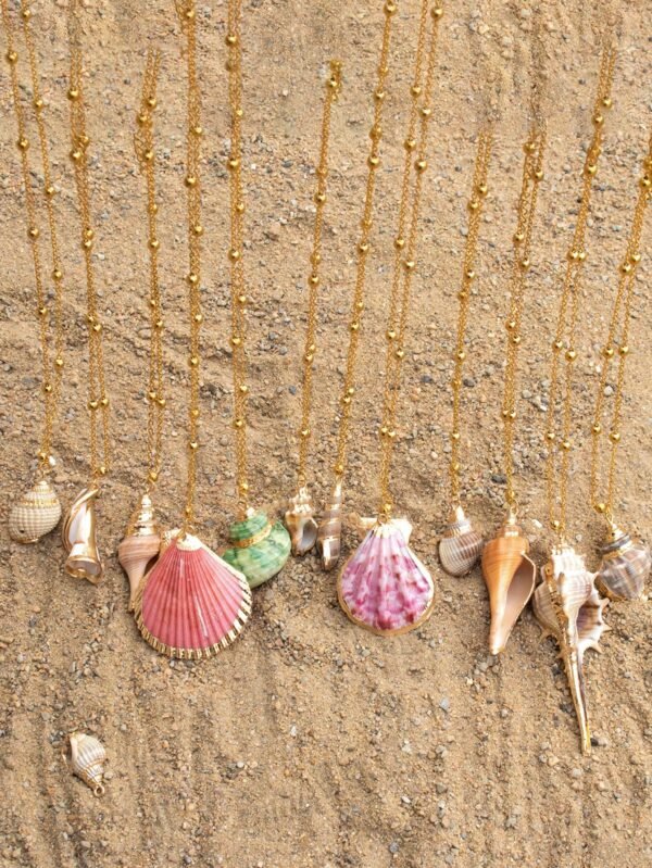 1 Coquillage Style Plage – Image 29