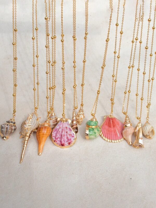 1 Coquillage Style Plage