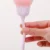 Rosebonbon1