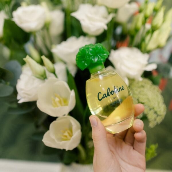 Gres Coffret Cabotine – Image 4