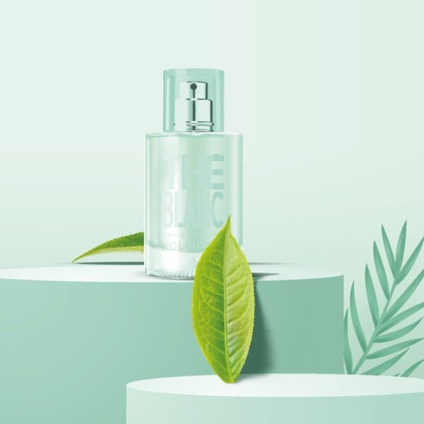 SOLINOTES Thé Blanc Parfum 15 ml – Image 5