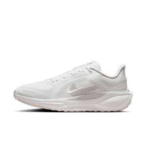 Nike Pegasus 41 GORE-TEX