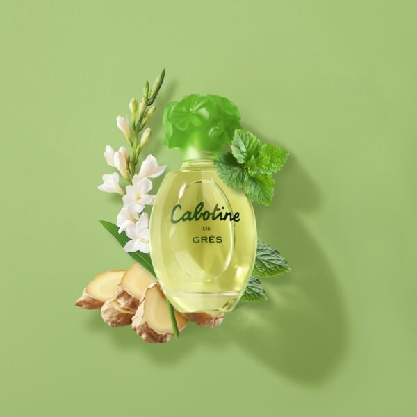 Gres Coffret Cabotine – Image 2