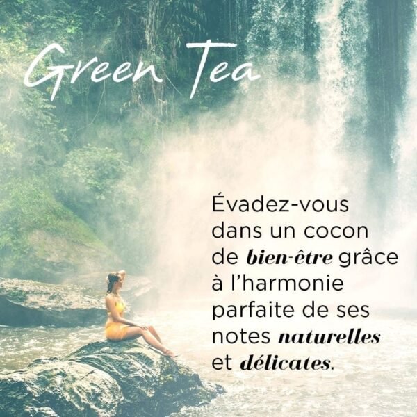 Arden Gel Green Tea 500ml – Image 5