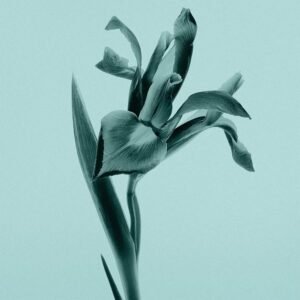 Tiffany Gel Tiffany&Co 200ml