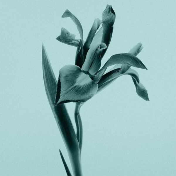 Tiffany Gel Tiffany&Co 200ml – Image 2
