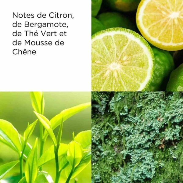 Arden Gel Green Tea 500ml – Image 2