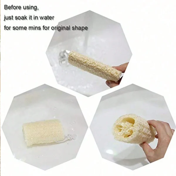 2 pcs Éponges exfoliantes loofah – Image 3