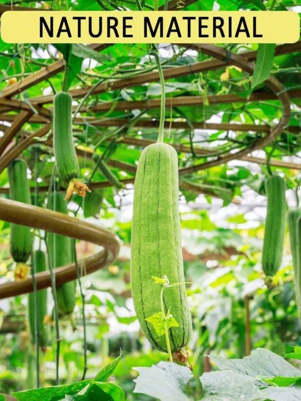 2 éponges naturelles luffa – Image 2