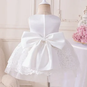 Robe princesse tulle dentelle