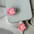 RoseRougeFleurdeCerisier